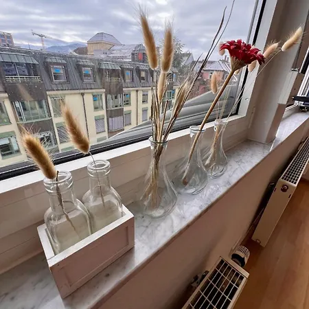 Style Loft With View At Centre Train Station 公寓 弗赖堡